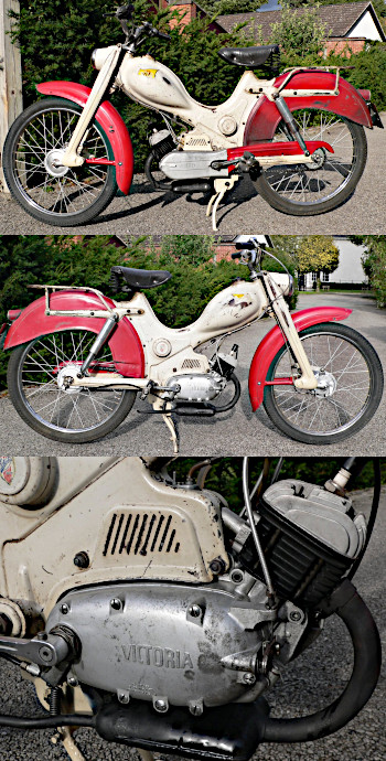 Dot ViVi moped